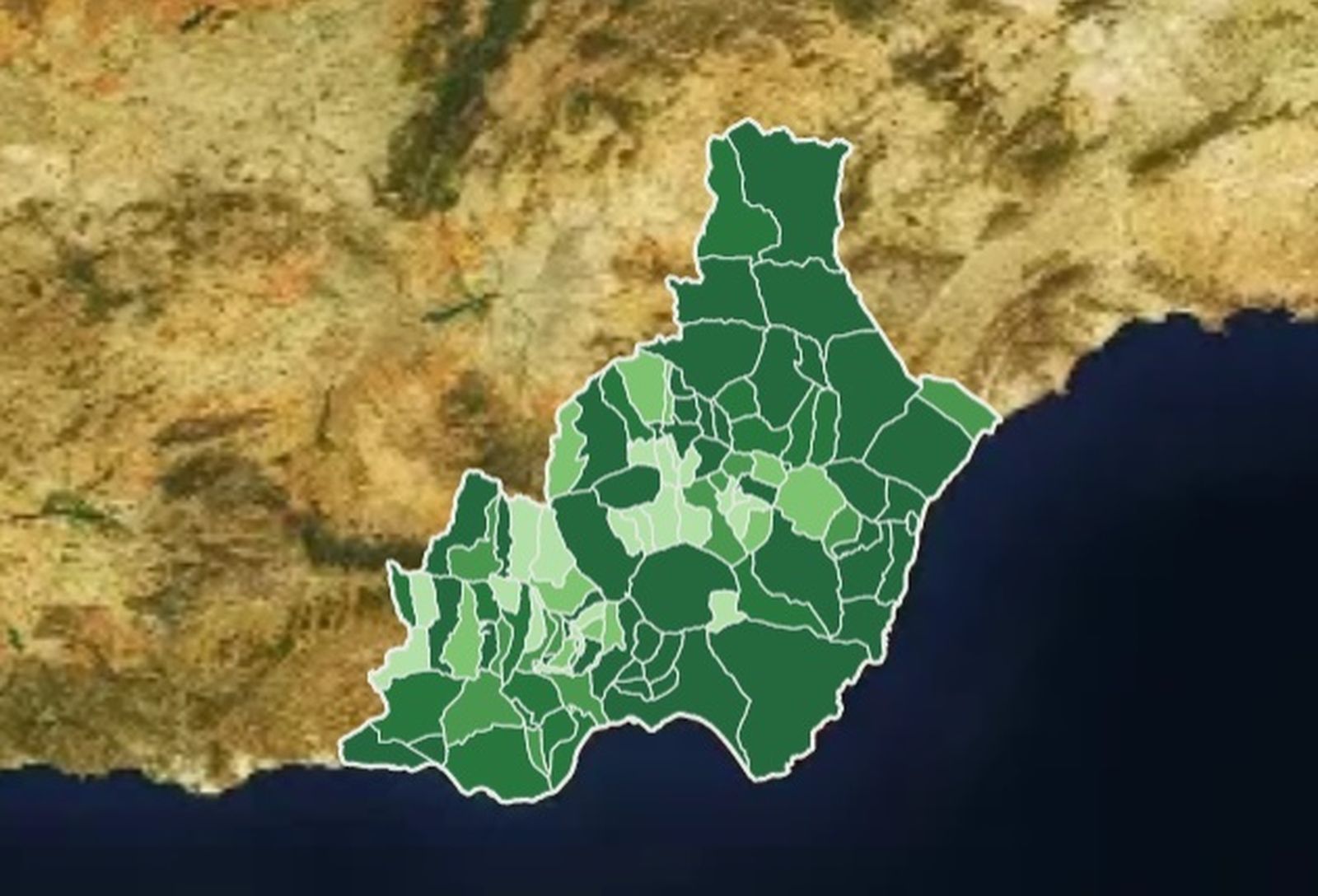 Mapa de los municipios con casos de coronavirus en Almería desde que empezó la pandemia.