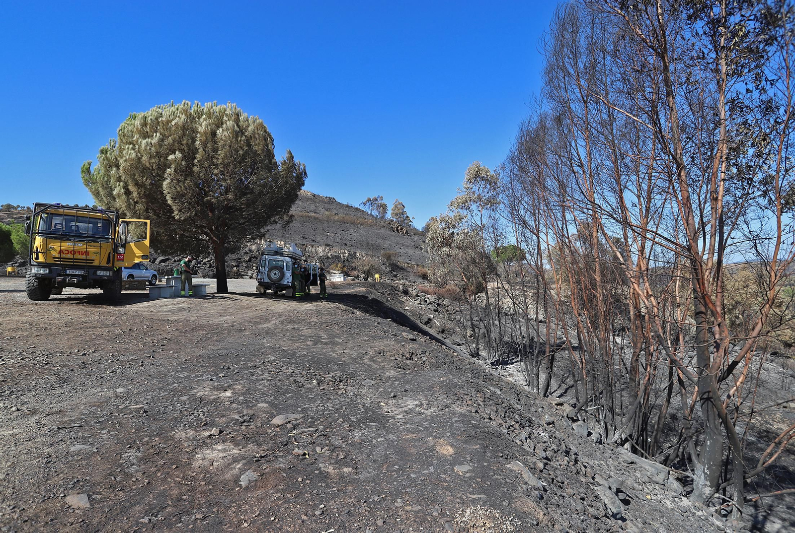 Imágenes de las zonas devastadas por el incendio de Almonaster la Real