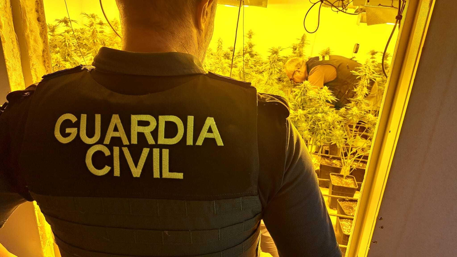 Imagen del centro de producción de marihuana de Las Gabias