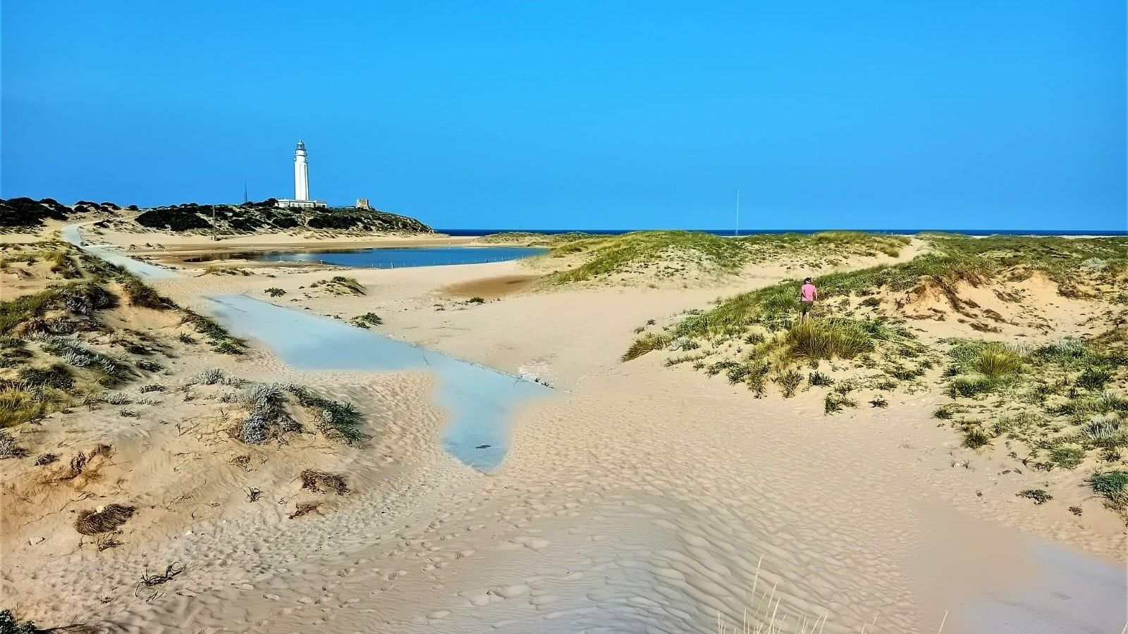El entorno de Trafalgar pertenece a la red Natura 2000 y es espacio ZEPA. El entorno de Trafalgar pertenece a la red Natura 2000 y es espacio ZEPA.