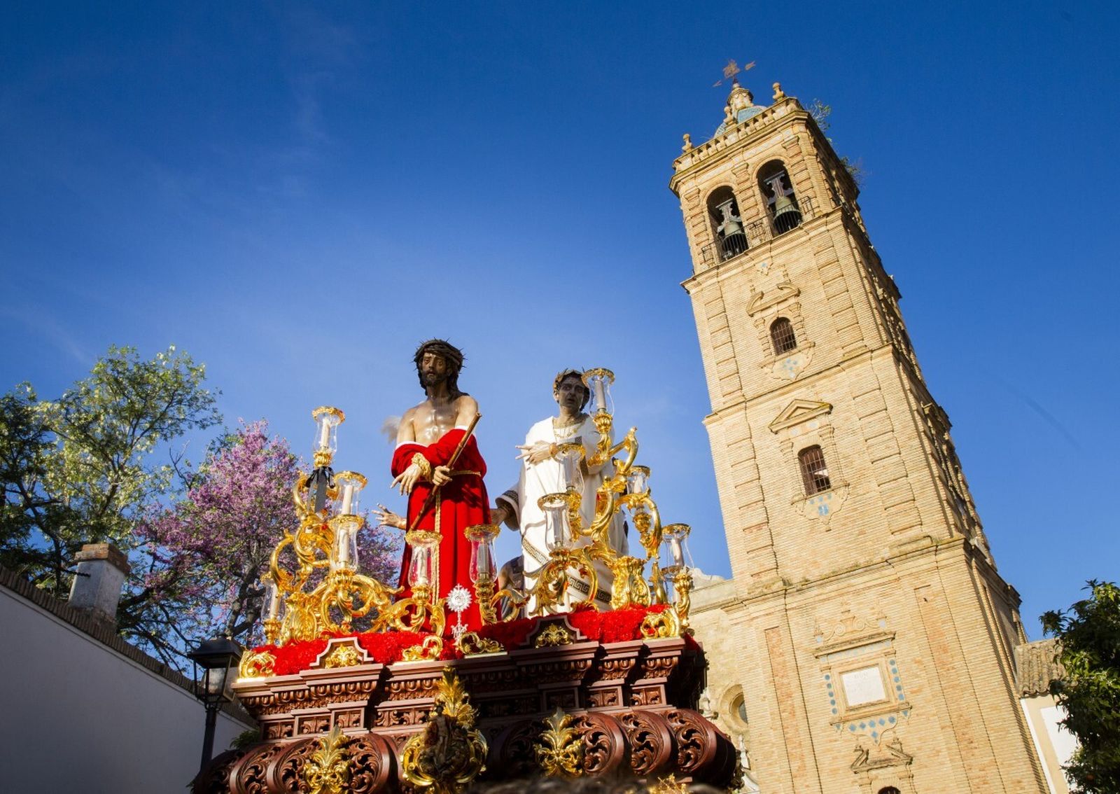 Domingo de Ramos en Montilla: La procesión de la Juventud, en imágenes