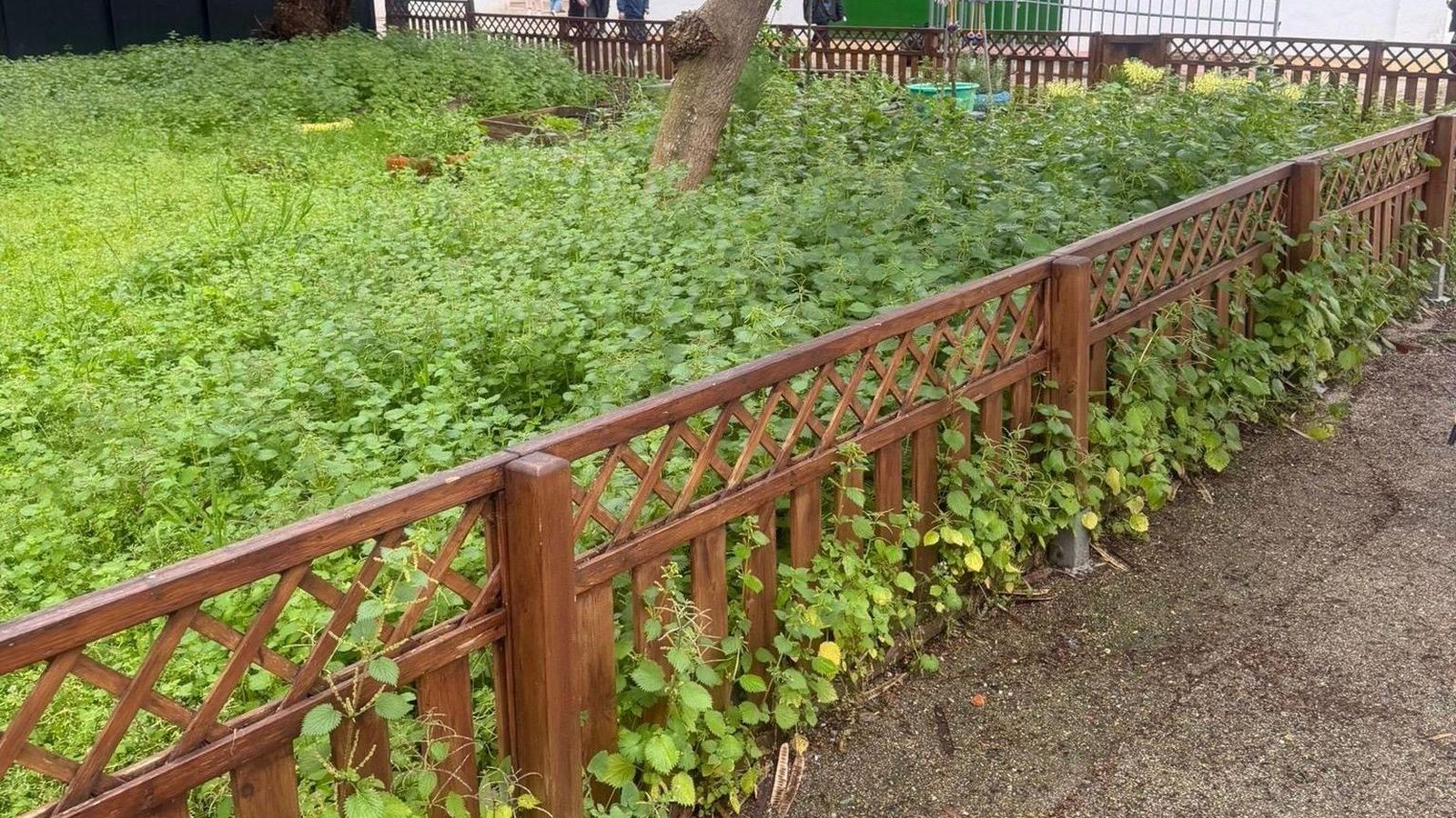 Imagen del patio objeto de denuncia.