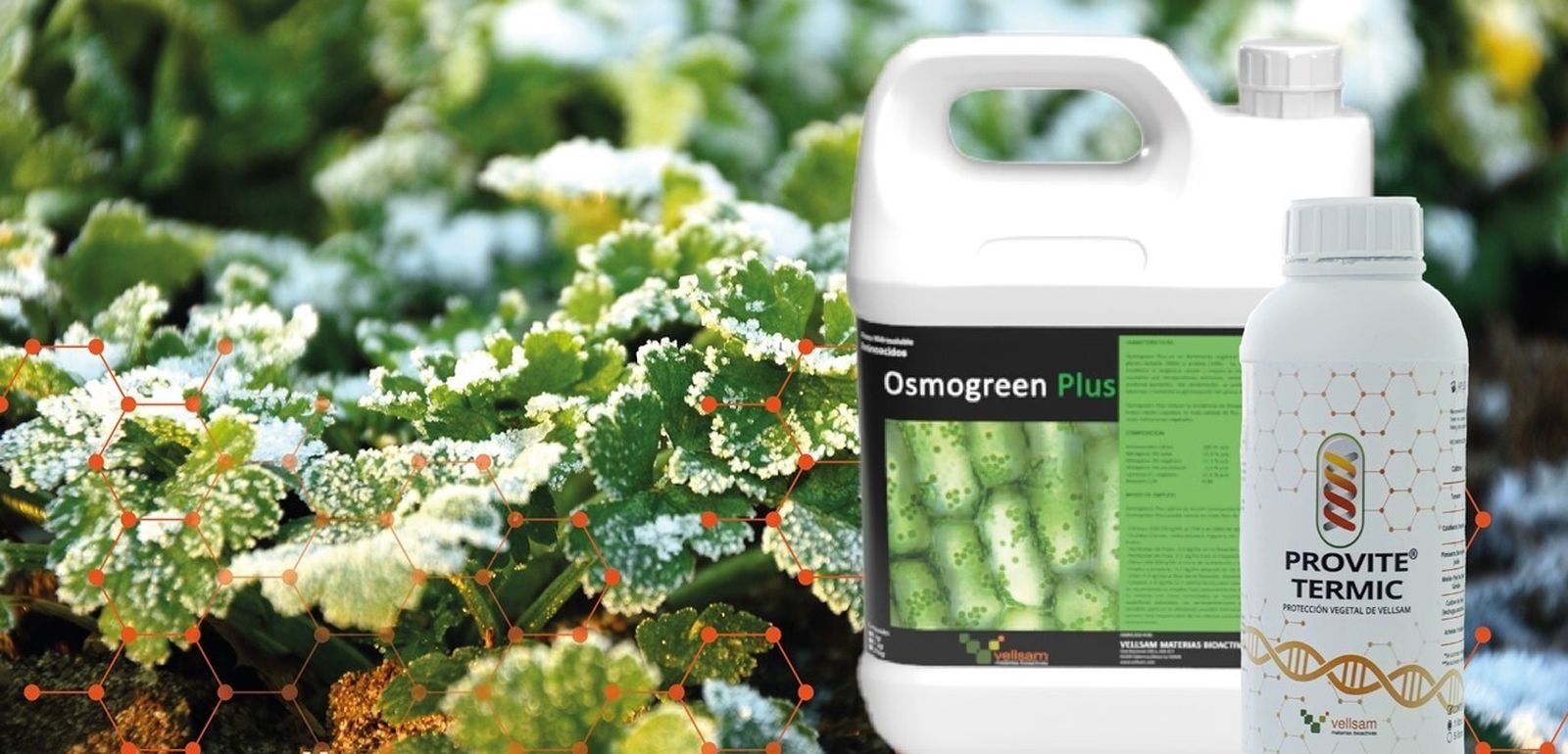 Osmogreen y Provite, soluciones de Vellsam.