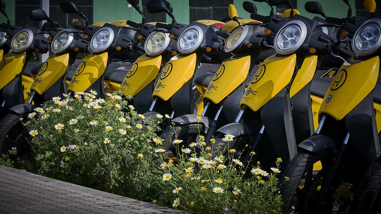 Motocicletas de alquiler aparcadas desde que se inició la crisis sanitaria