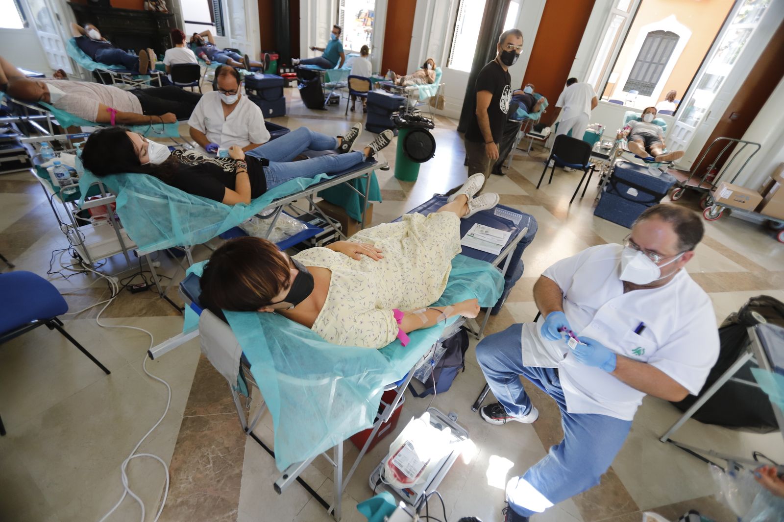 Macrocolecta de sangre en la Casa Colón