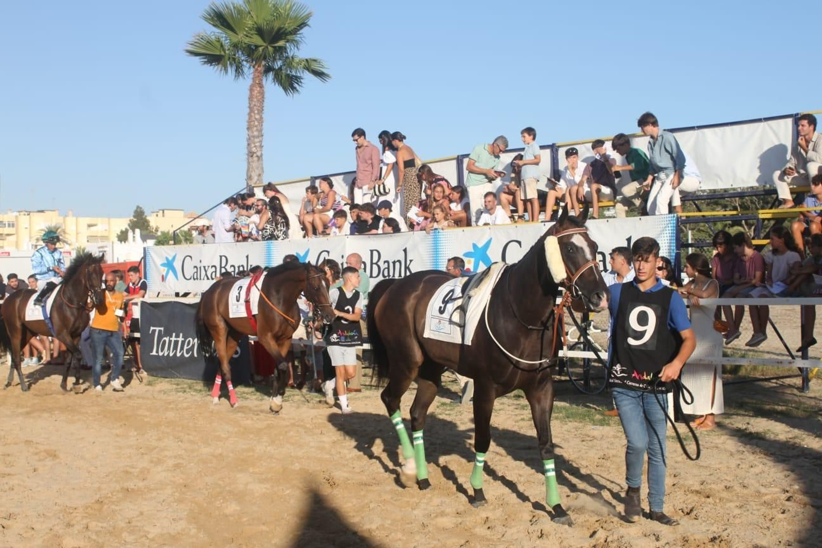 Imágenes del tercer día de las Carreras de Caballos de Sanlúcar.
