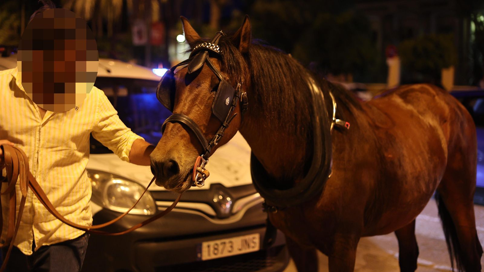 El caballo, tras ser recuperado.