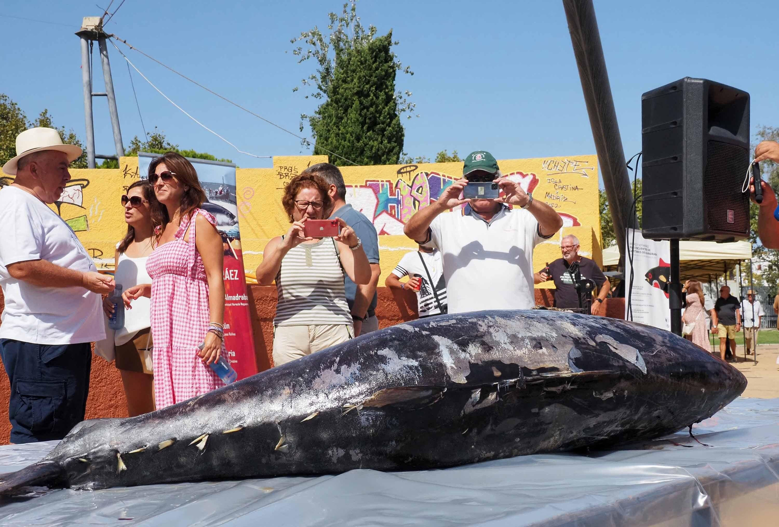 Las espectaculares imágenes del ronqueo de un atún en Isla Cristina