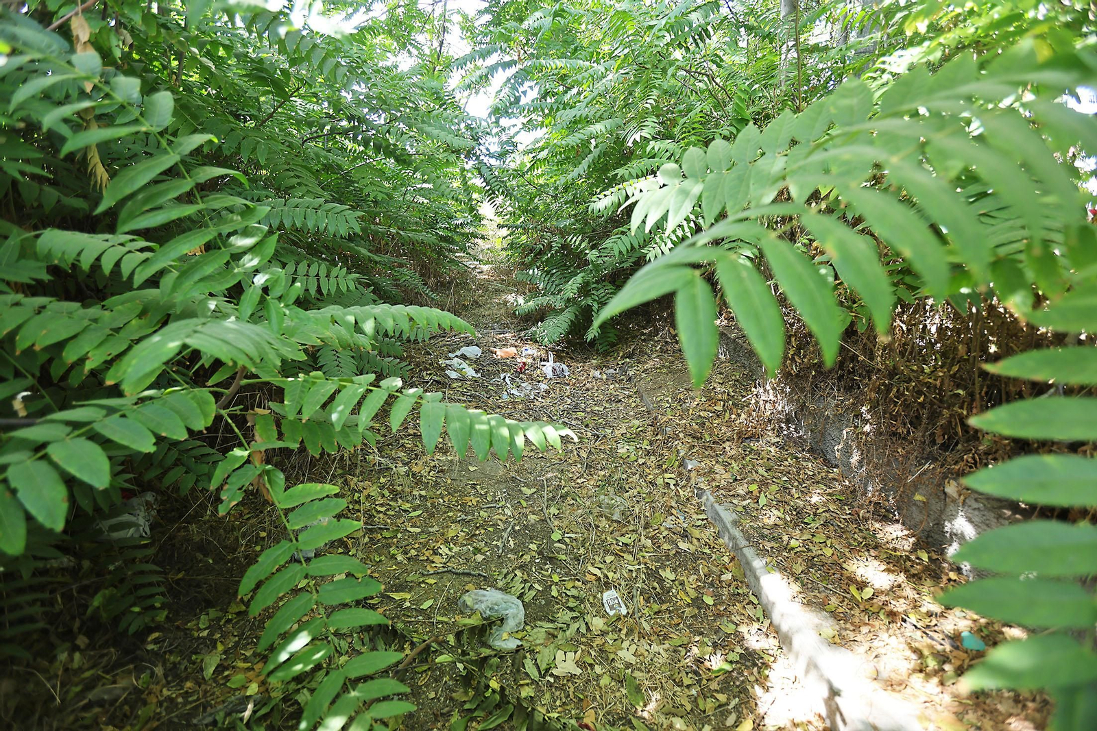 Las imágenes más destacadas del miércoles 25 de septiembre en Huelva