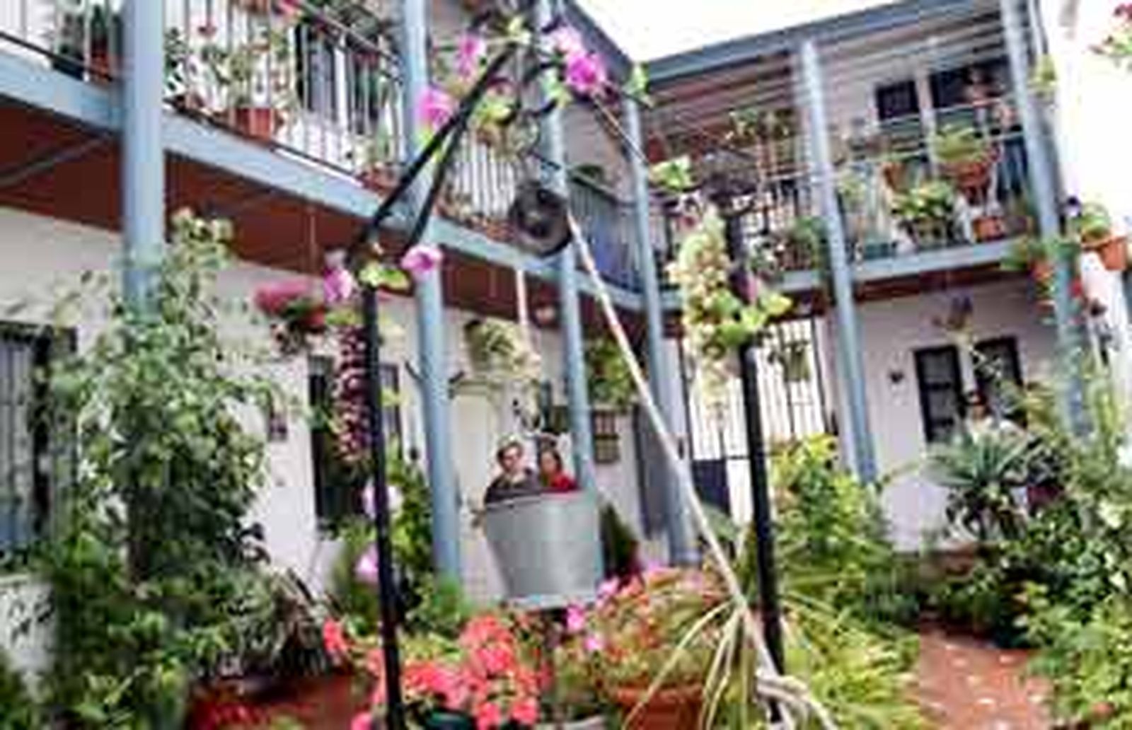 Pequeños oasis a concurso