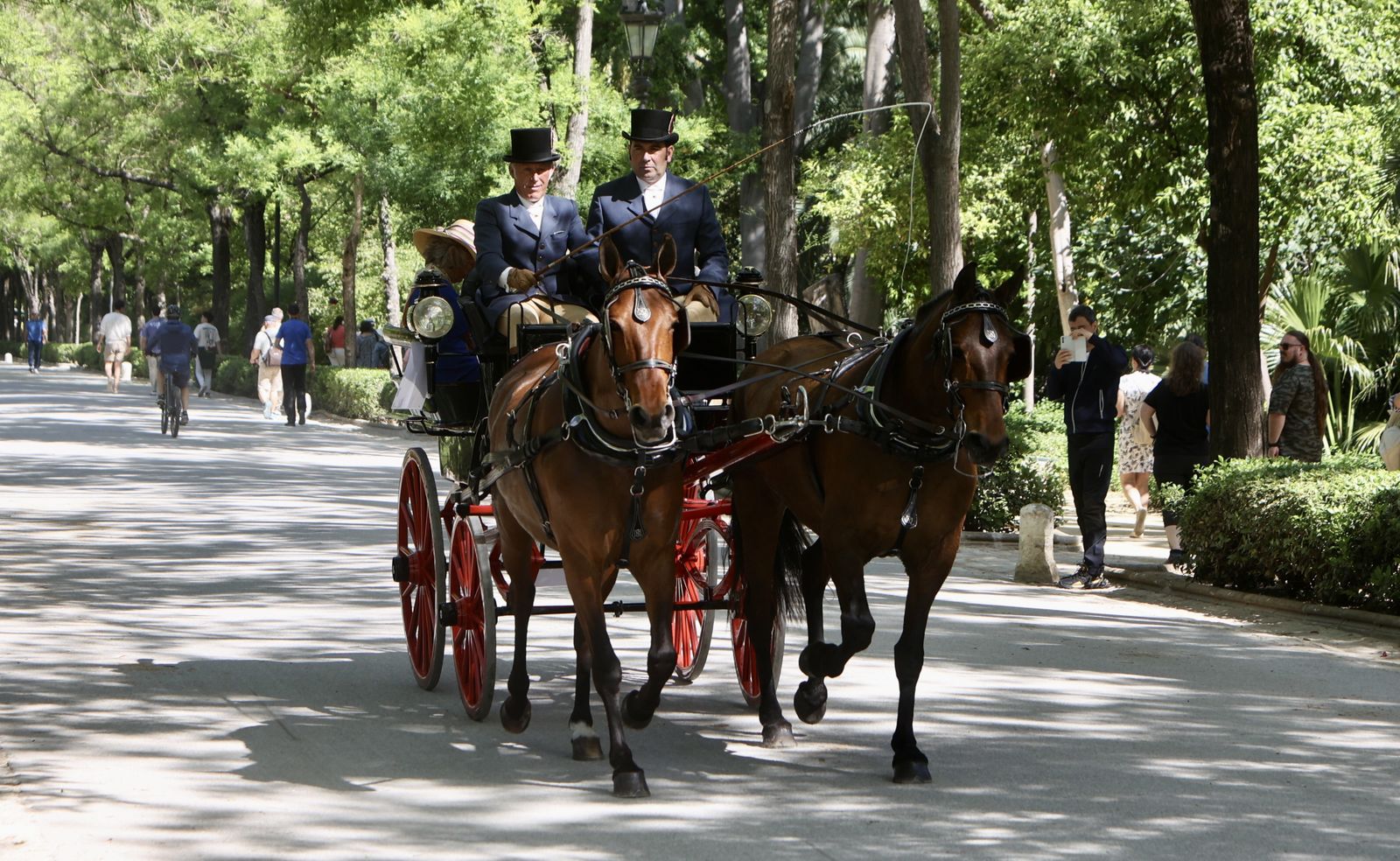 X copa CIAT   Concurso de Enganches