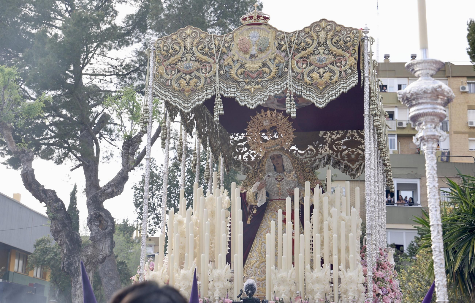 Las imágenes de la Hermandad de Pino Montano en la Semana Santa de Sevilla 2025