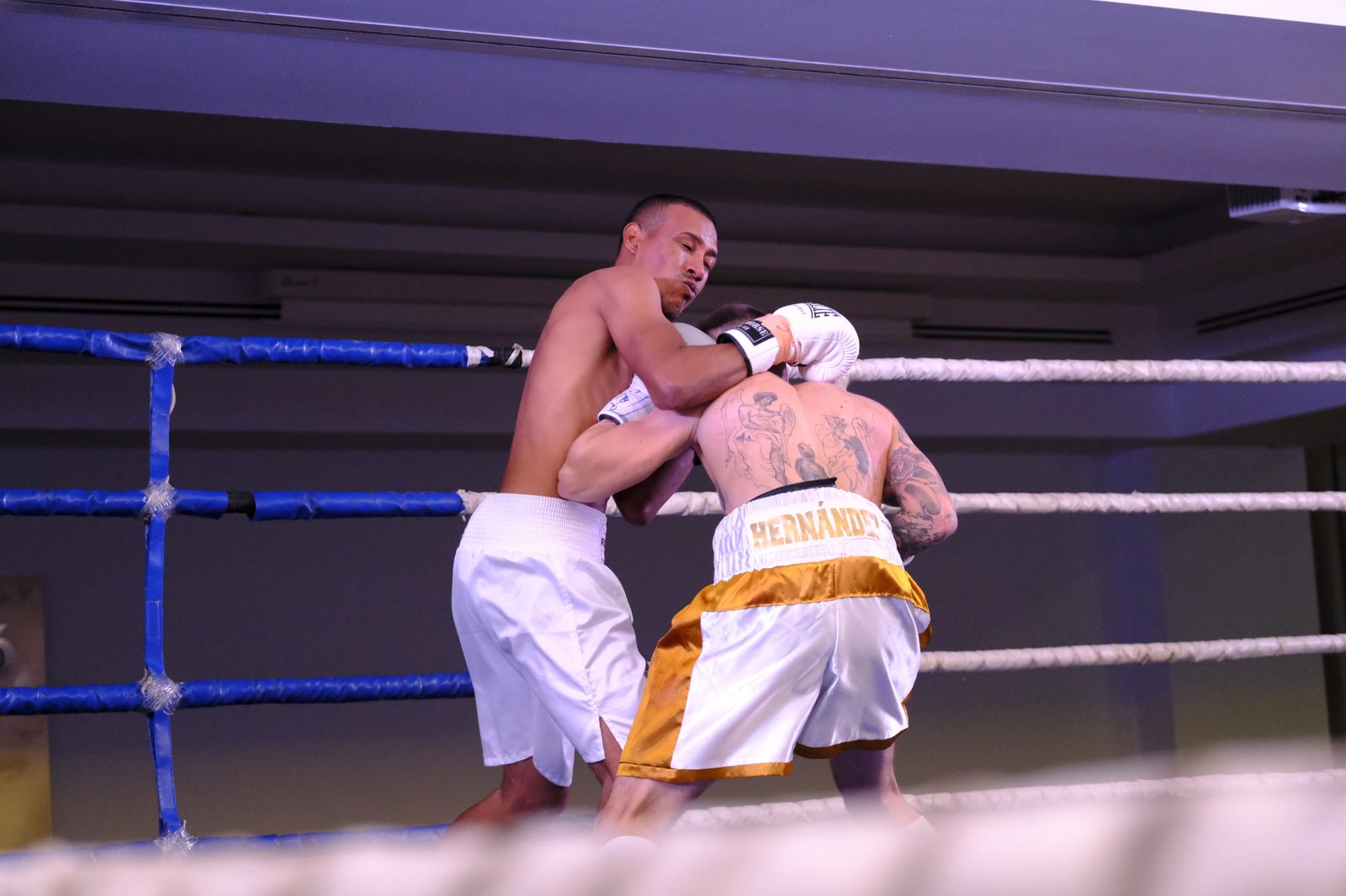 Fotogalería de la velada de boxeo Diamonds Boxing