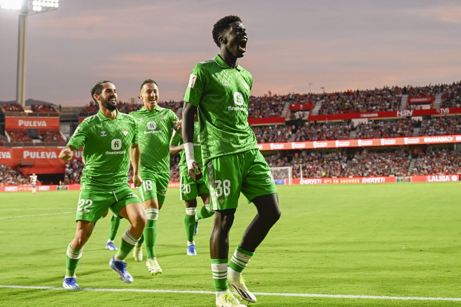 Assane celebra su gol en el Nuevo Los Cármenes.