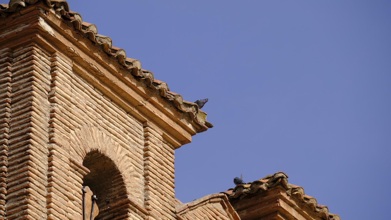 Limpieza y senderismo por la Alpujarra, en imágenes