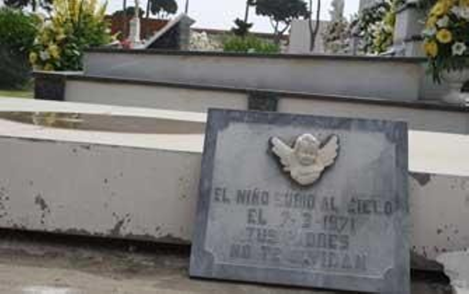 'SOS Bebés Robados' cifra entre 150 y 200 los casos existentes en La Línea