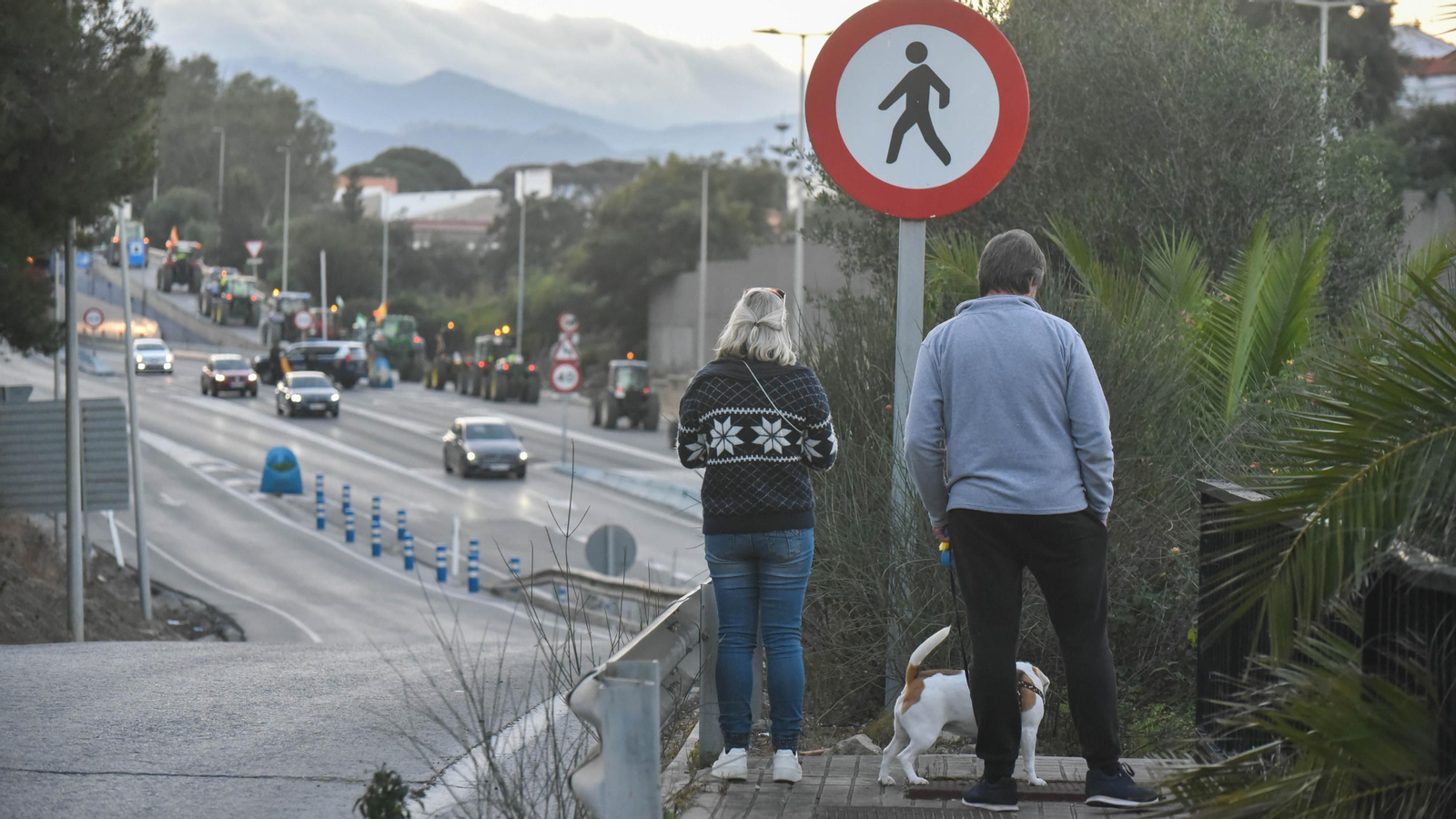 La tractorada del sector primario en Algeciras, en imágenes