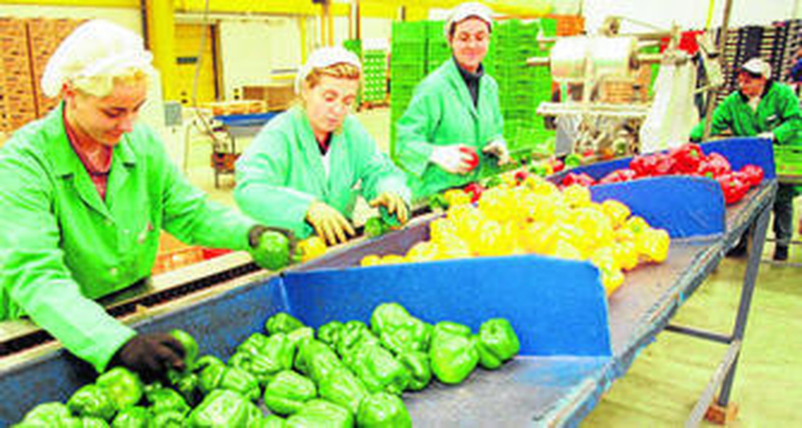 La Unión cuenta con 800 empleados y un catálogo de productos con pepino, pimiento y calabacín como estrellas.