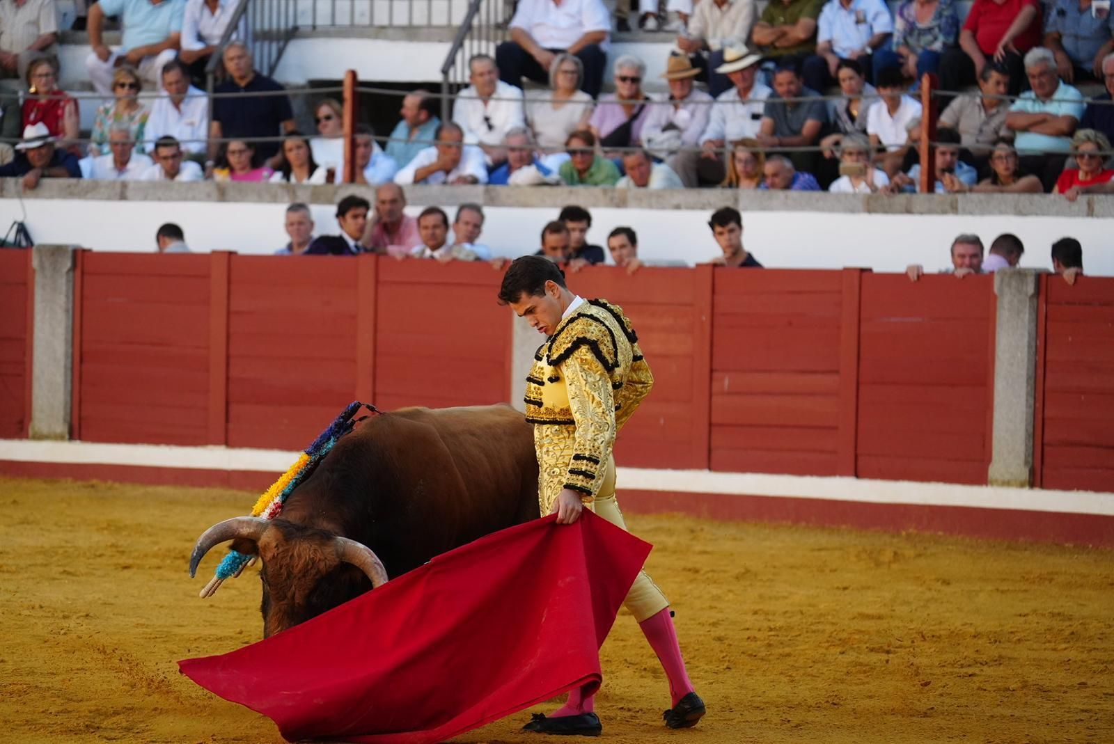 Las fotos del triunfo de Manuel Quintana en la feria taurina de Pozoblanco