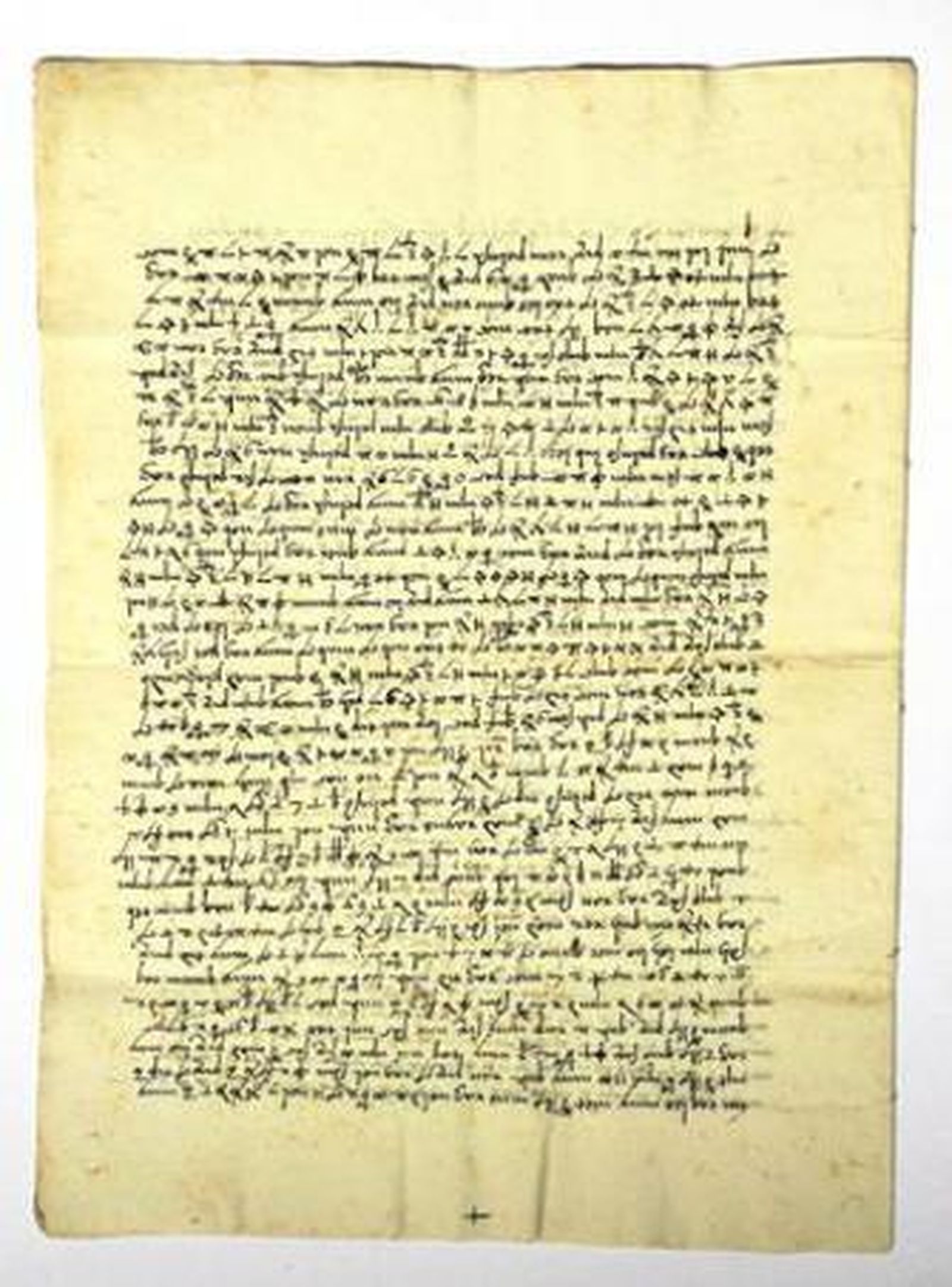 La huella escrita de la amistad del Gran Capitan y Fernando el Católico