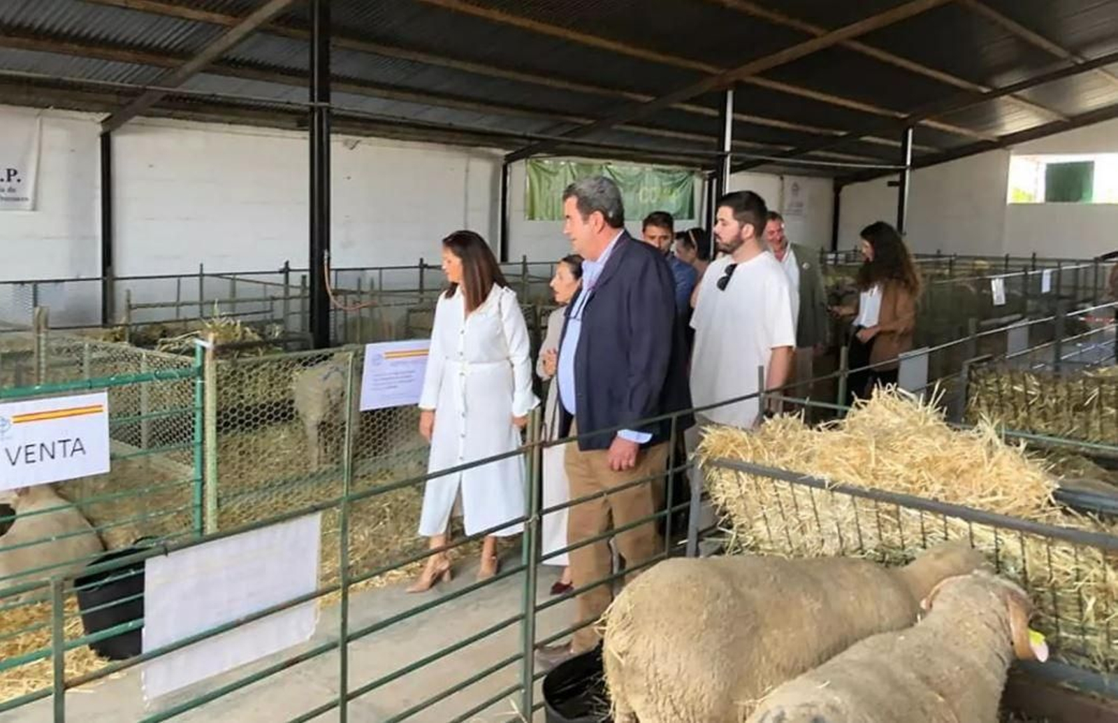 Corrales de animales en FAGA.