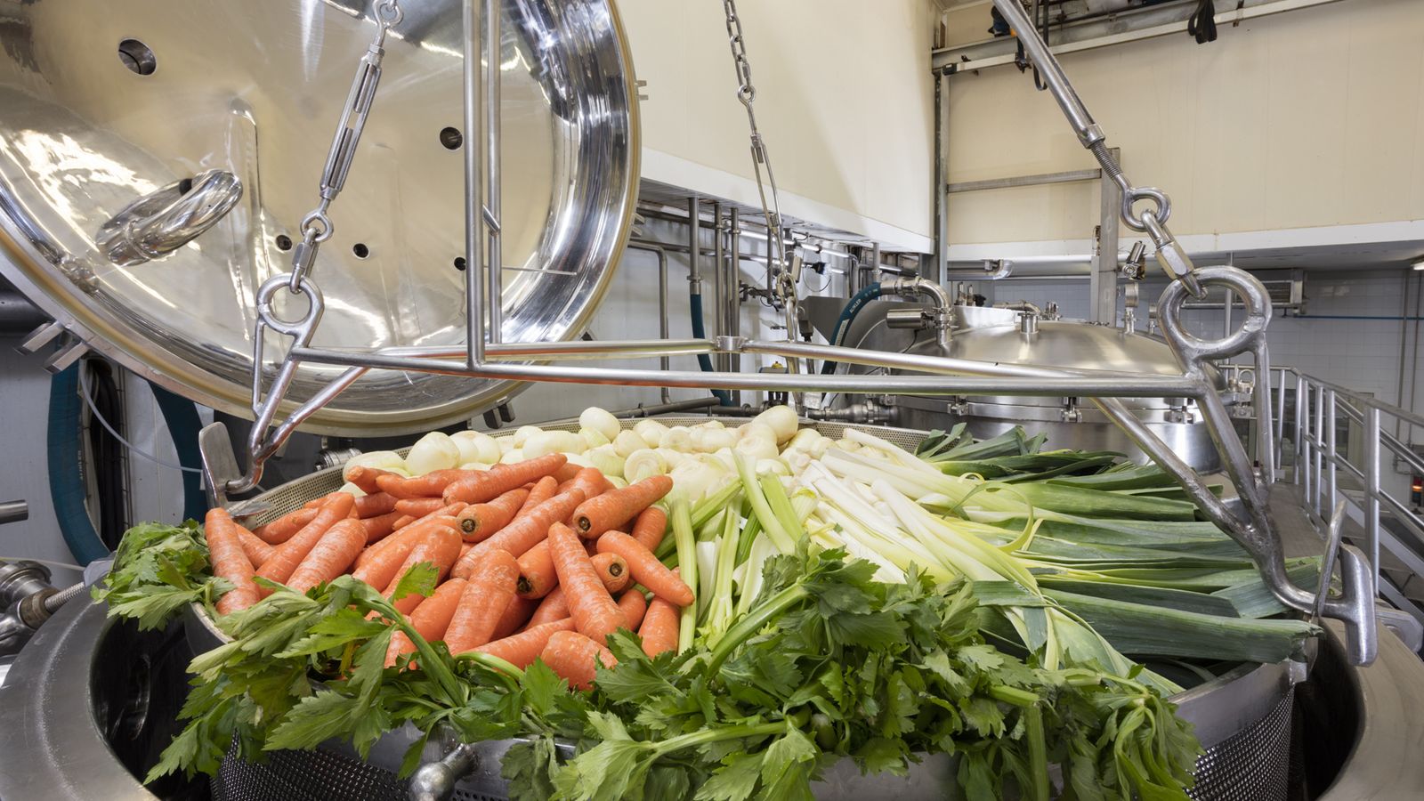 Ingredientes 100% naturales.