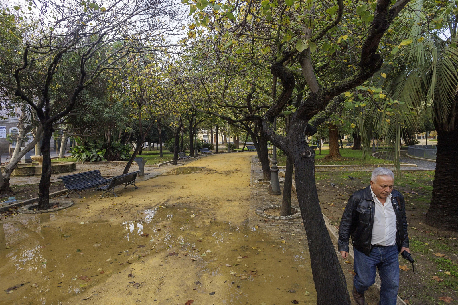 Las imágenes de la apertura de la nueva plaza de España. Las imágenes de la apertura de la nueva plaza de España.