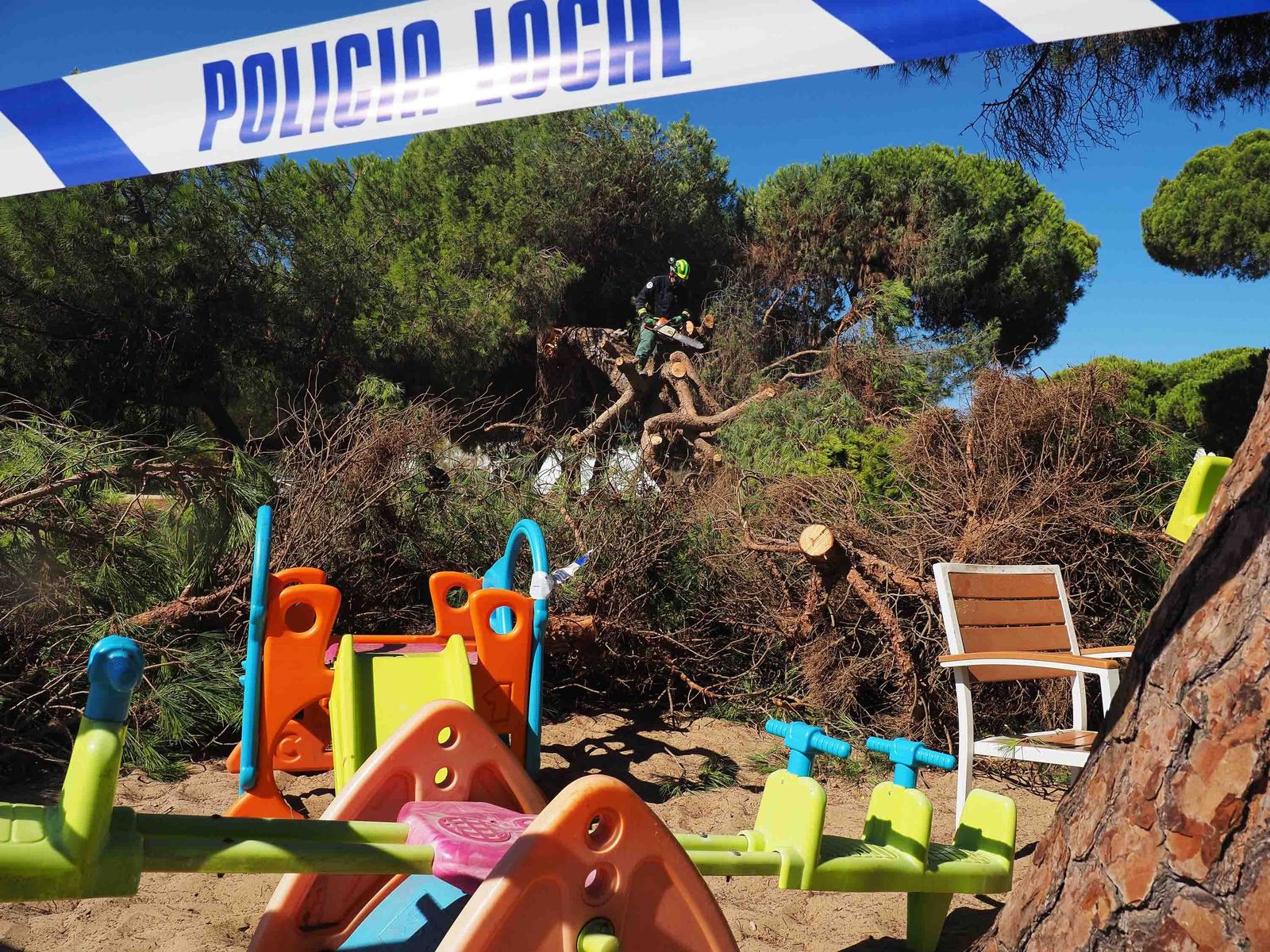 Un bombero del Consorcio desbroza la copa del pino para su retirada de la terraza