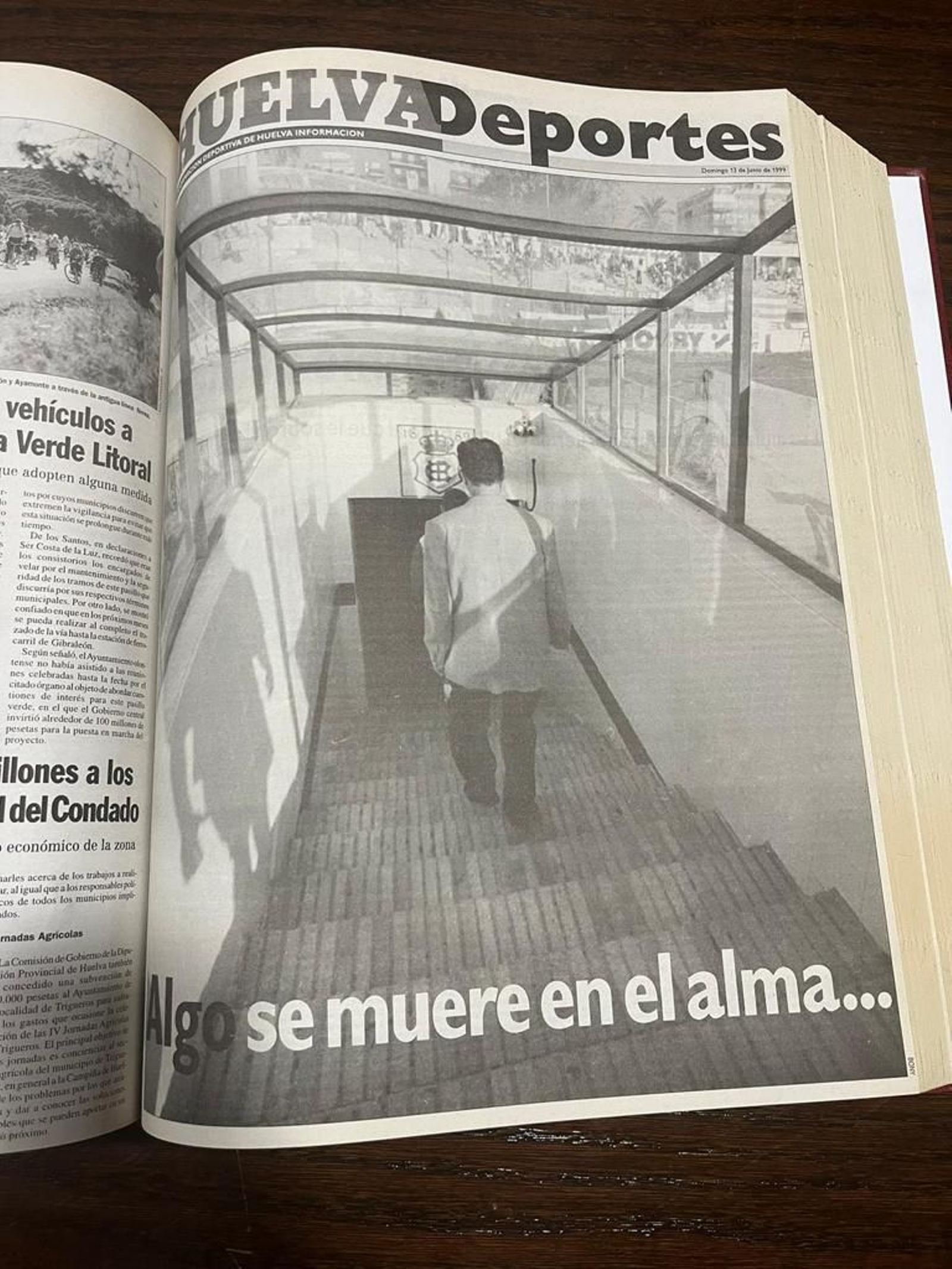 Algo se muere en el alma