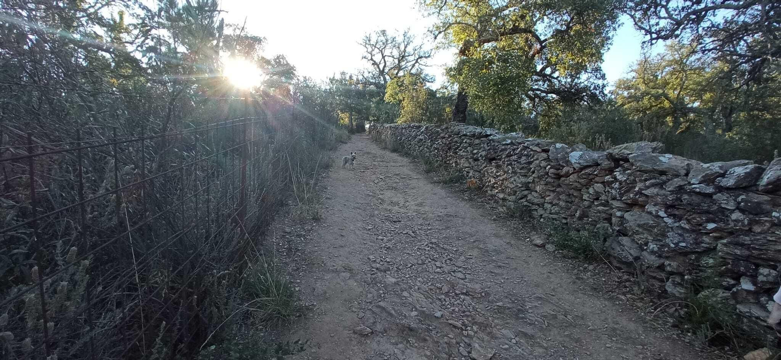Las imágenes de la Ruta del charco malo