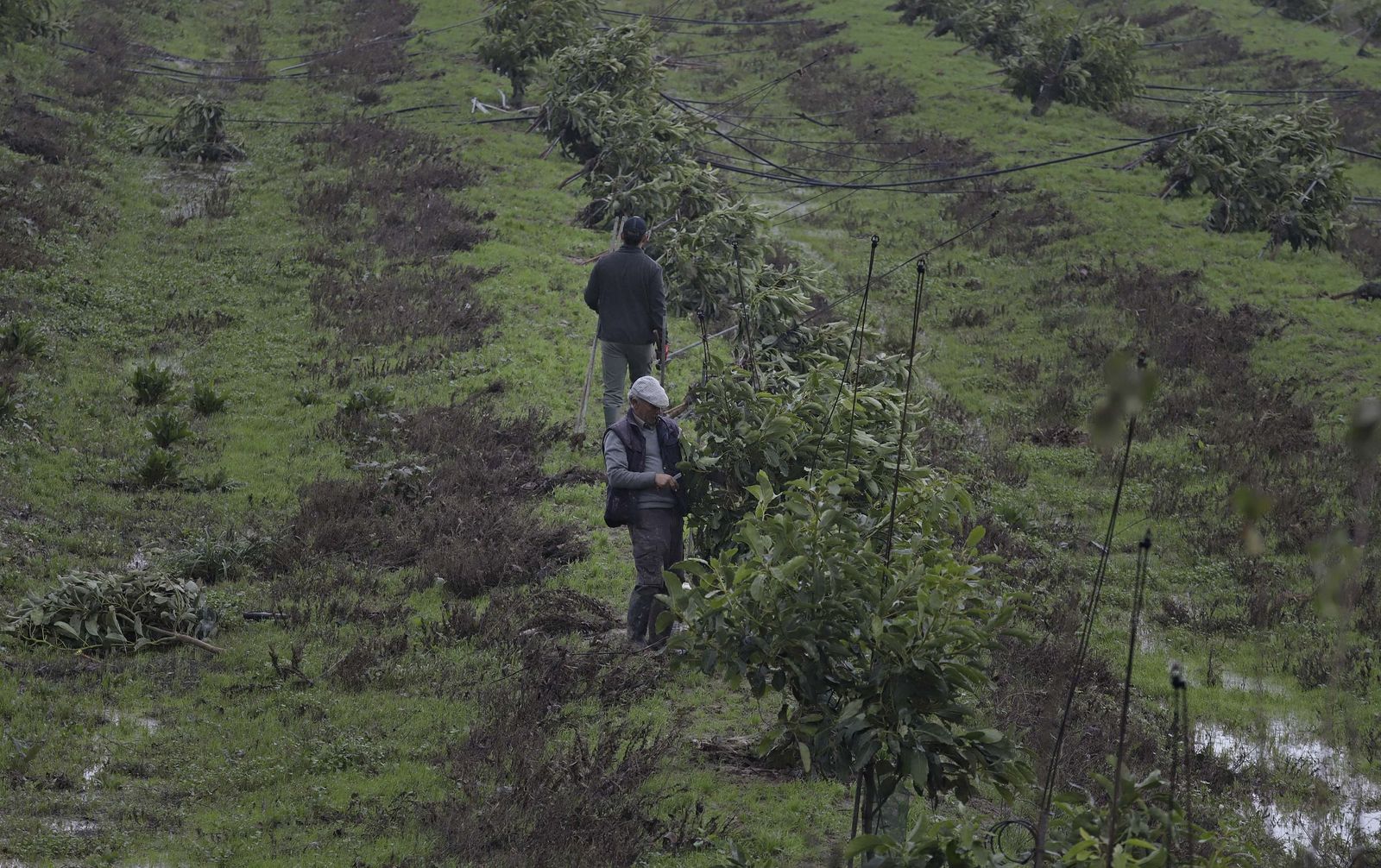 Fotos de los desperfectos provocados por las borrascas en Jimena de la Frontera