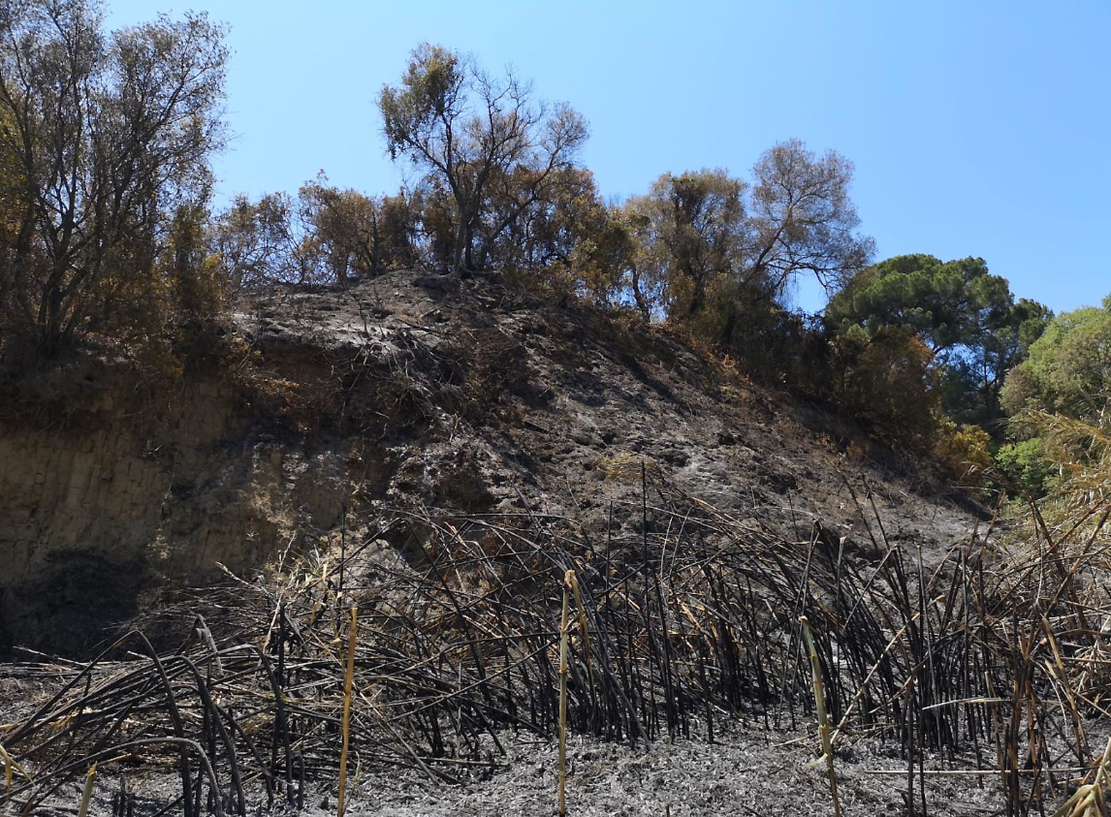 Así ha quedado la cornisa de Gelves tras el incendio