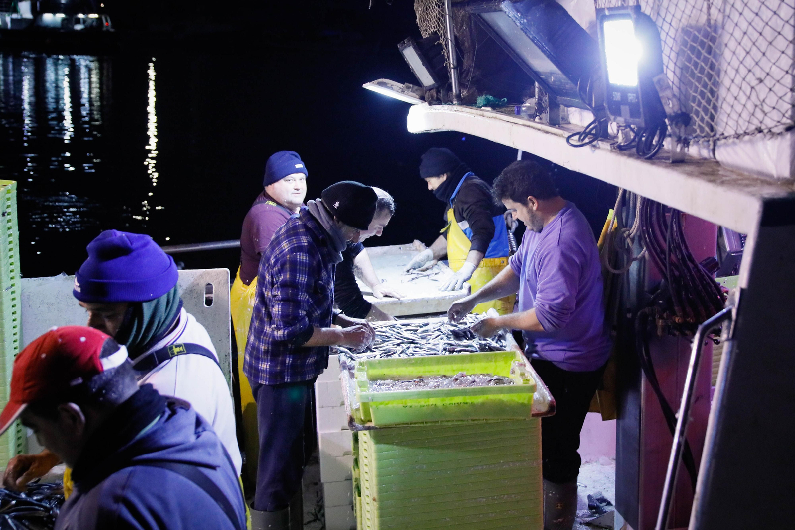 Te contamos en imágenes como ha sido la descarga de las traiñas en la lonja de Almería