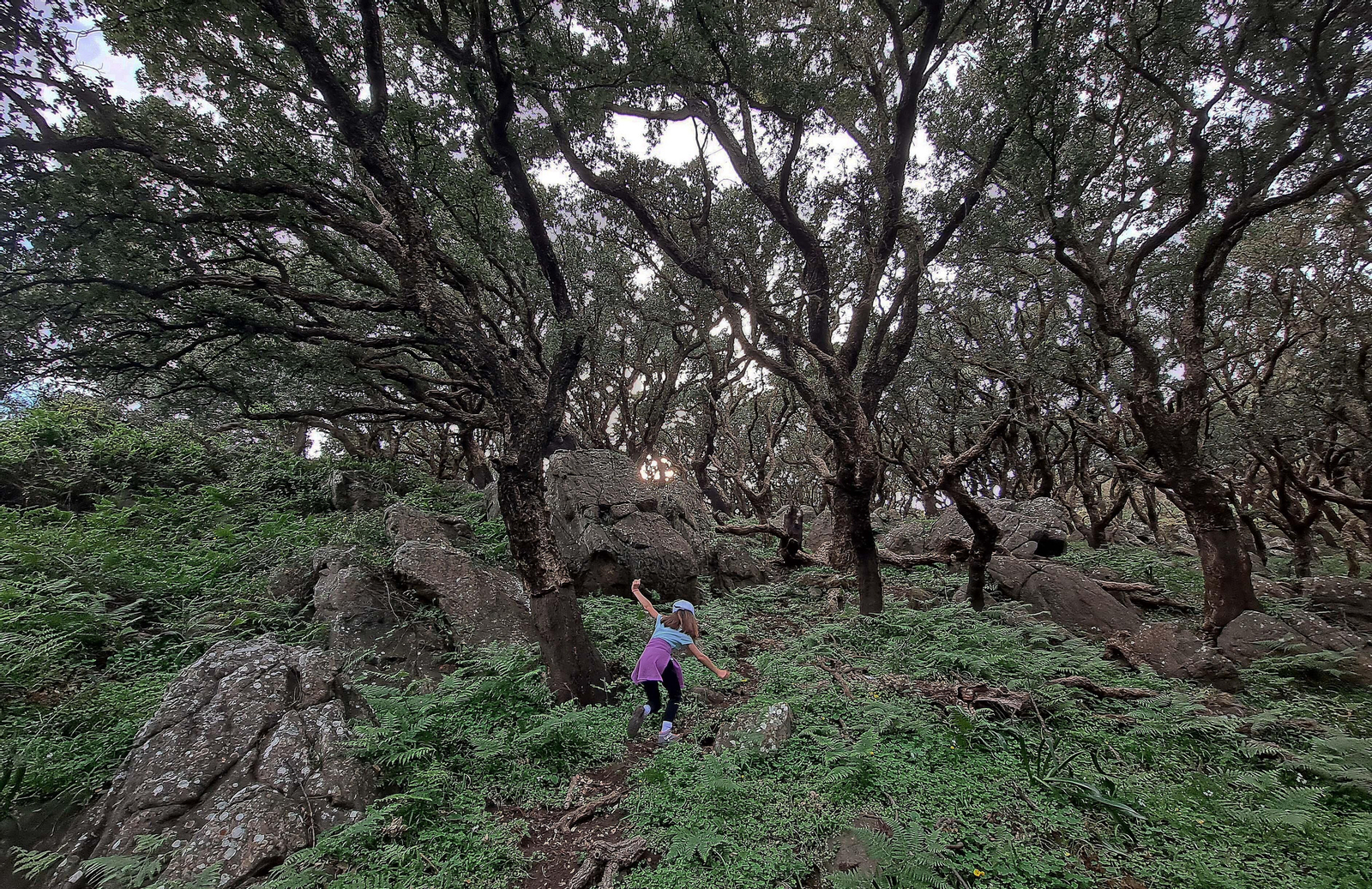 Fotos de la ruta de El Bujeo en Algeciras