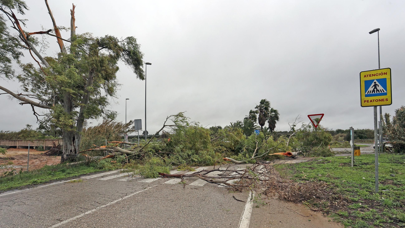 Imágenes del temporal de viento y lluvia en Jerez