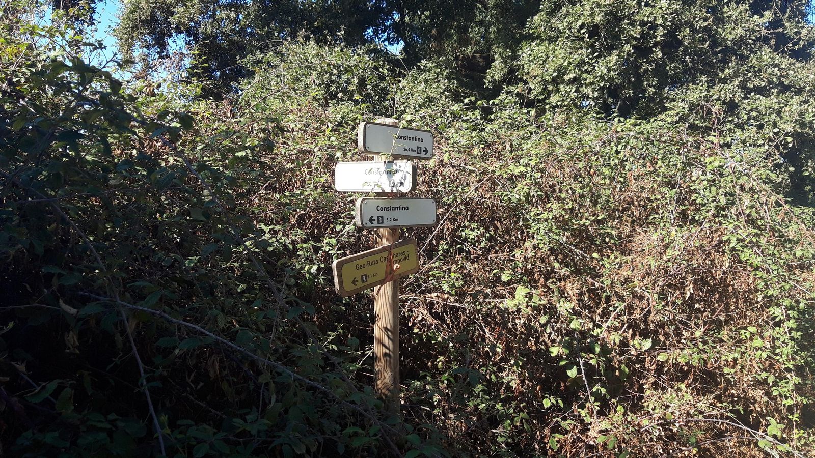 Las fotos de la Circular del Campovid