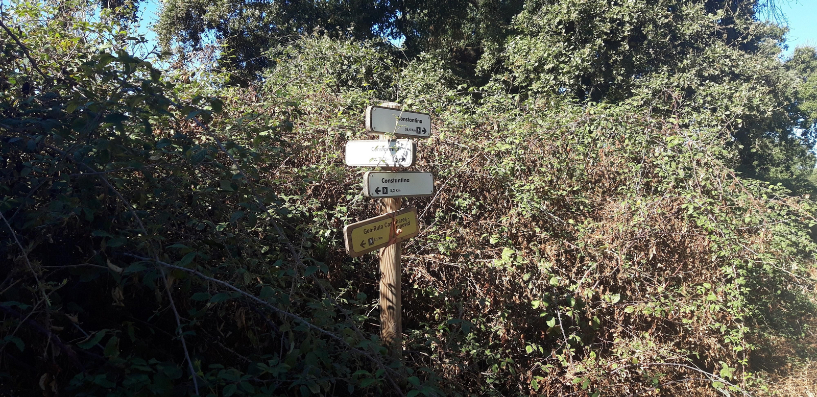 Las fotos de la Circular del Campovid