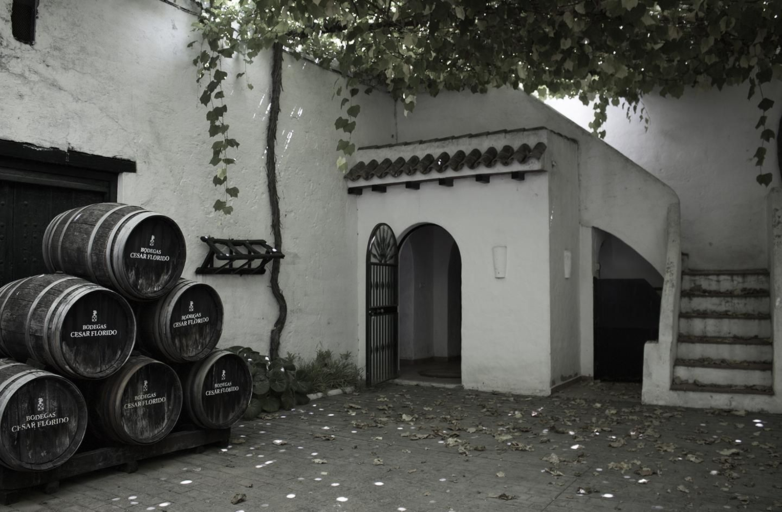 Bodegas Florido Bodegas Florido