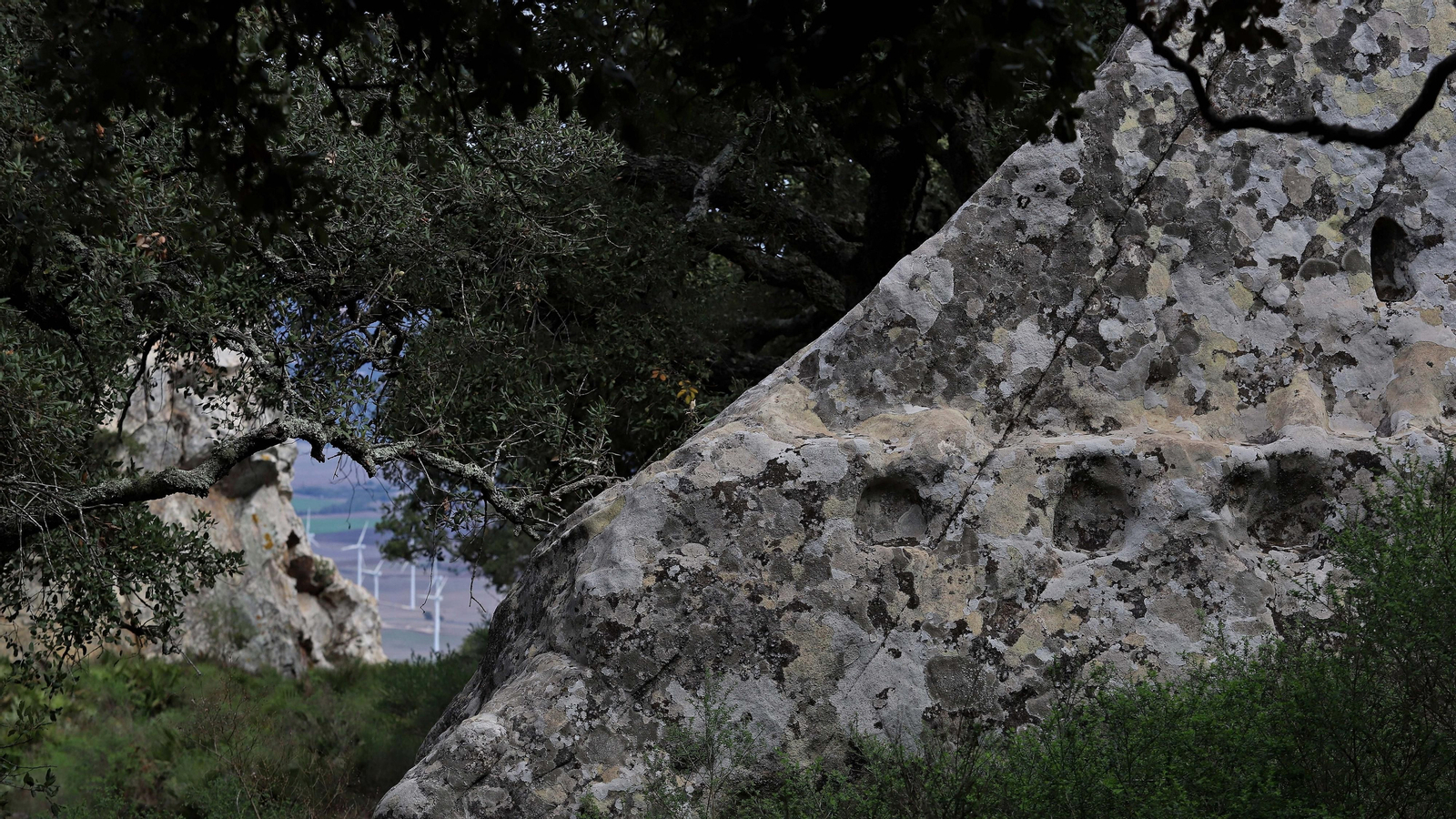 Fotos del asentamiento Turdetano de la Sierra de la Plata  en Tarifa