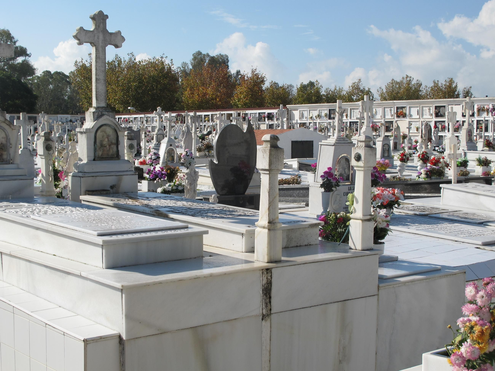 Cementerio de San roque en Puerto Real Cementerio de San roque en Puerto Real