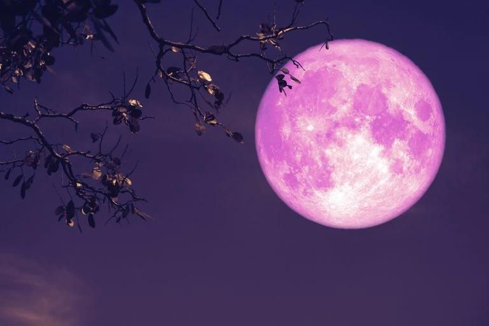 Luna de fresa: Los rituales para atraer la buena suerte en la última Superluna de 2021.