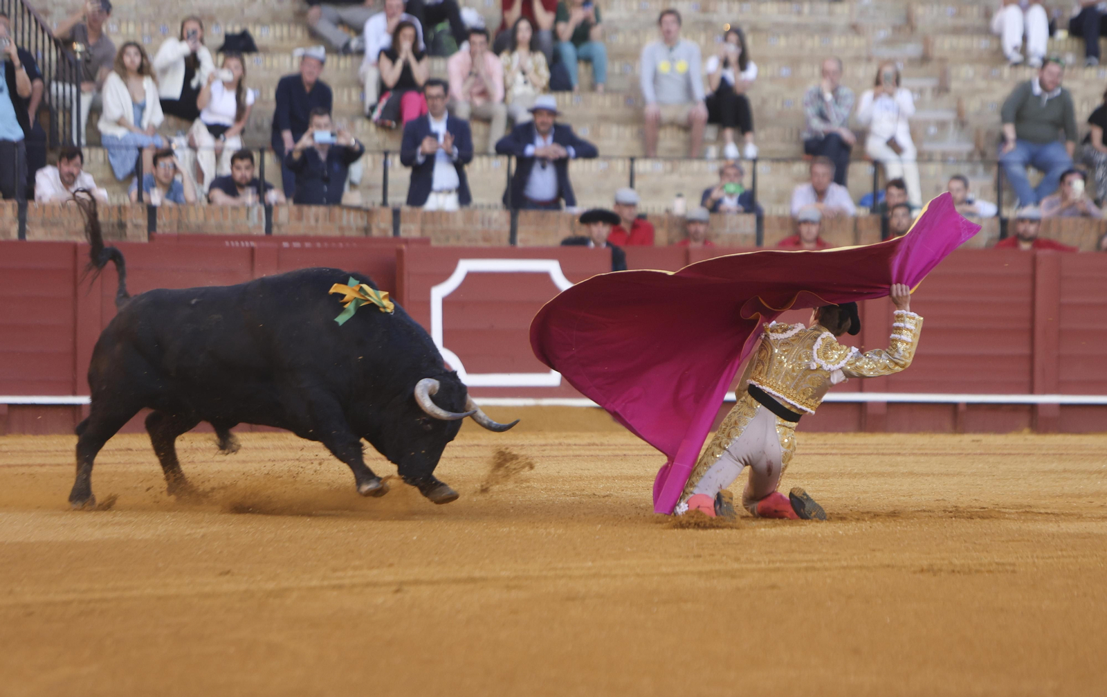 Las mejores fotos de la corrida de toros de Miguel Ángel Perera, Paco Ureña y Borja Jiménez