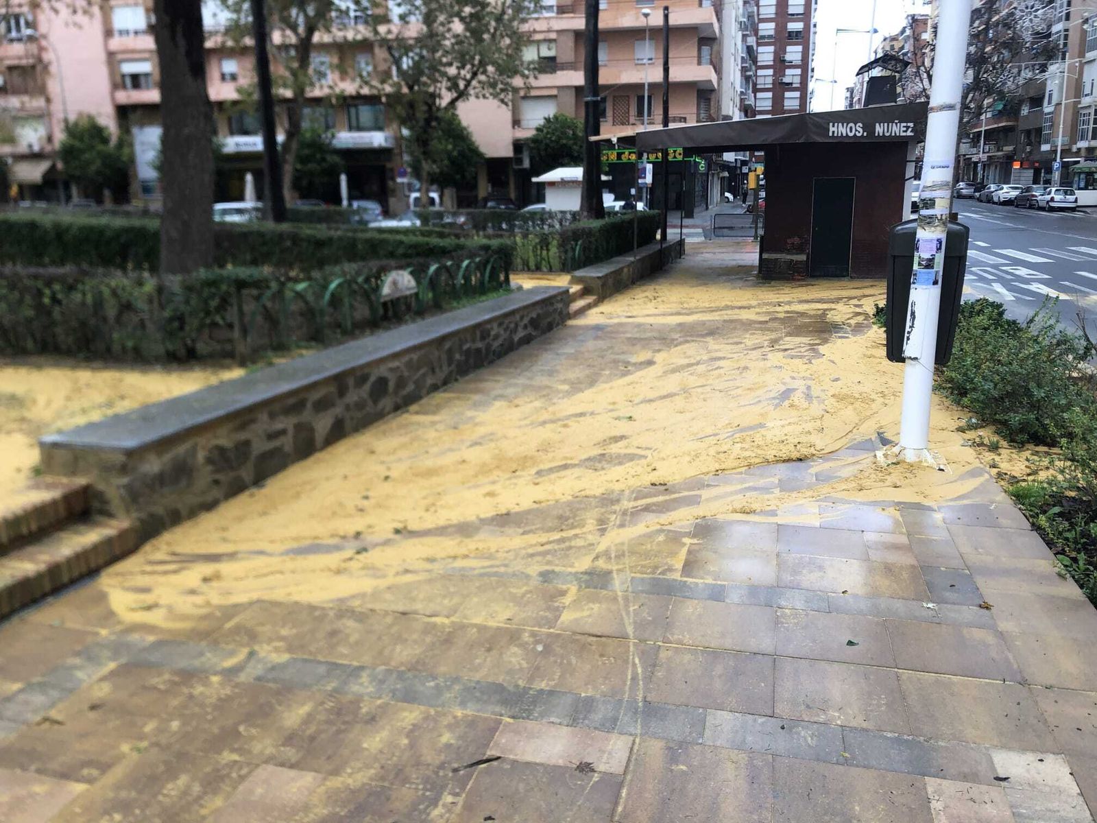 Acumulación de fango en la esquina de Federico Molina.
