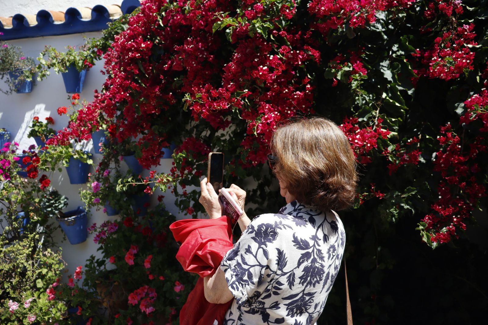 Ruta de los patios de San Lorenzo