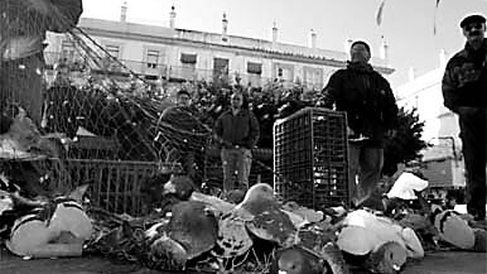Captura de palomas con redes en la plaza del Rey, hace 20 años.