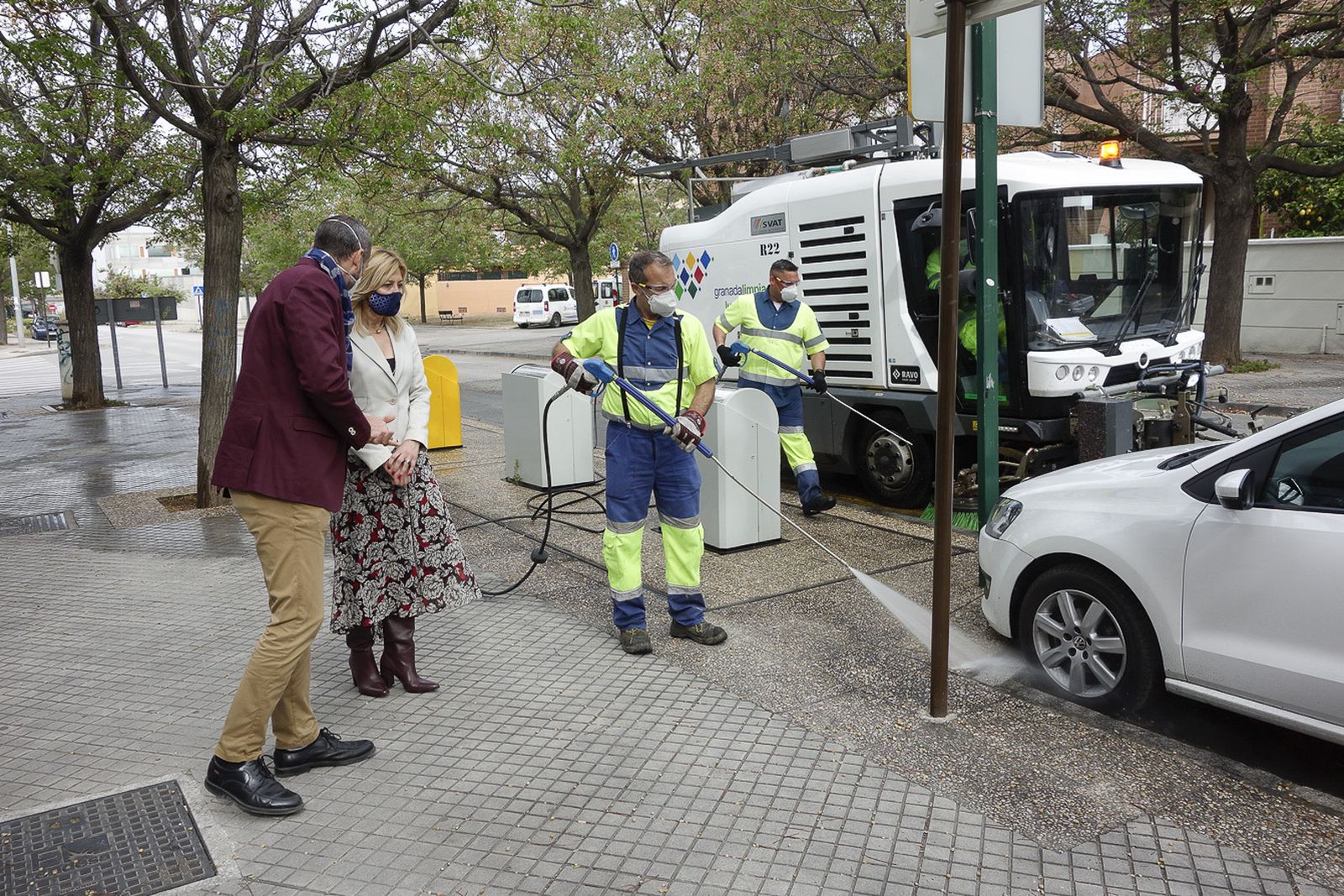 Plan especial de limpieza de semillas de polen