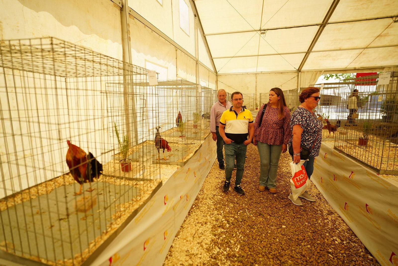 Un paseo en fotografías por la XXX Feria Agroganadera de Los Pedroches Un paseo en fotografías por la XXX Feria Agroganadera de Los Pedroches