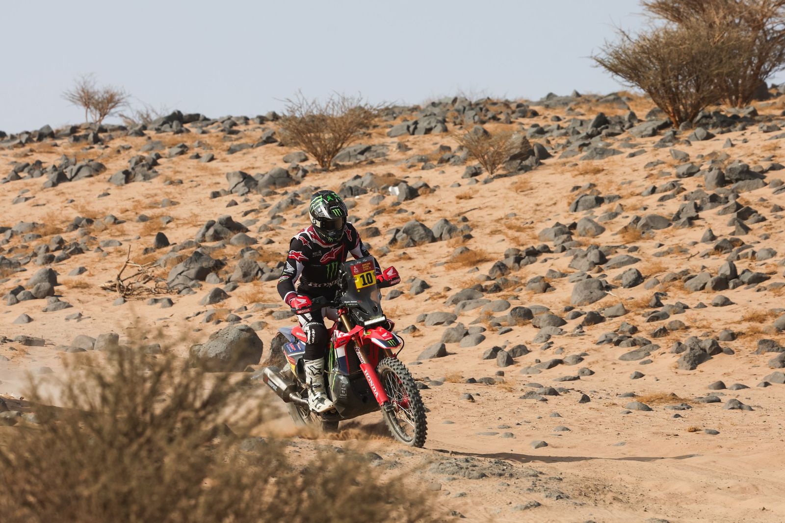 Las mejores fotos del Rally Dakar | undécima etapa