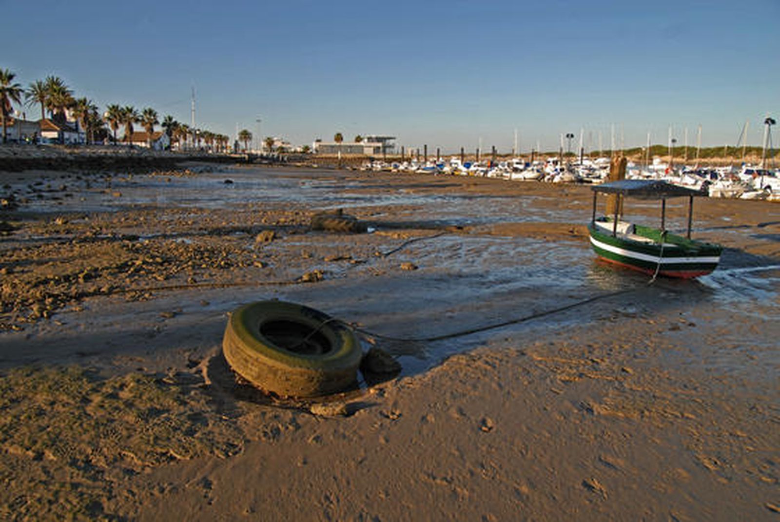 Durante la mañana en Sancti Petri, se han reunido cientos de personas para disfrutar la marea./Paco Periñán

Foto: Paco Perinan