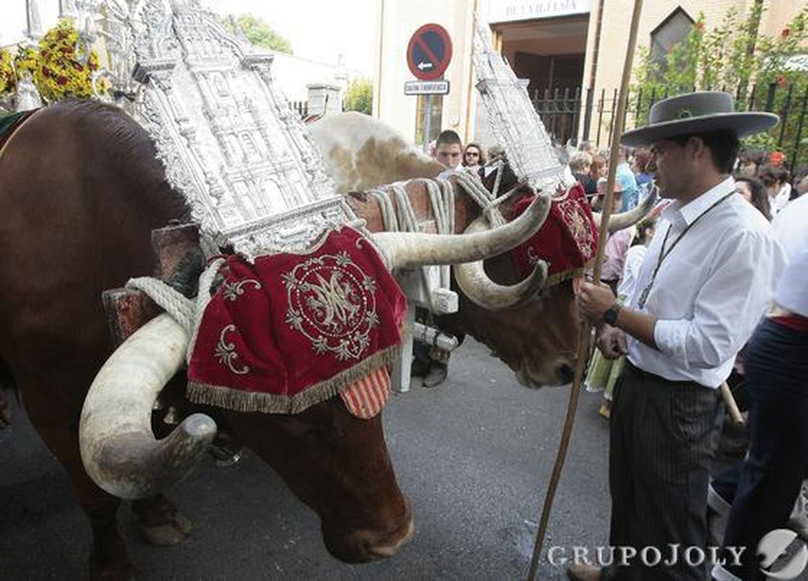 Detalle de los bueyues que tiran del simpecado de la Hermandad del Rocío de Sevilla Sur.

Foto: José Ángel García